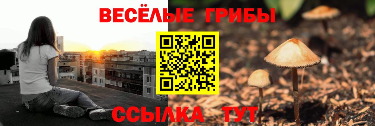 Псилоцибиновые грибы Magic Shrooms Благовещенск